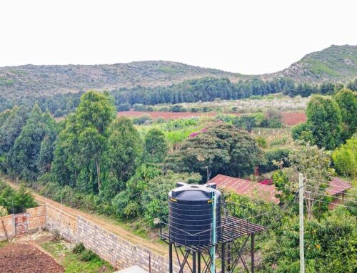 Real Estate in Kikuyu: A Fast-Growing Market with High Returns