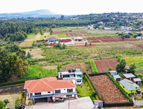 Plots in Kikuyu: A Growing Opportunity