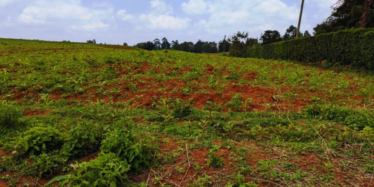 akim gardens phase21