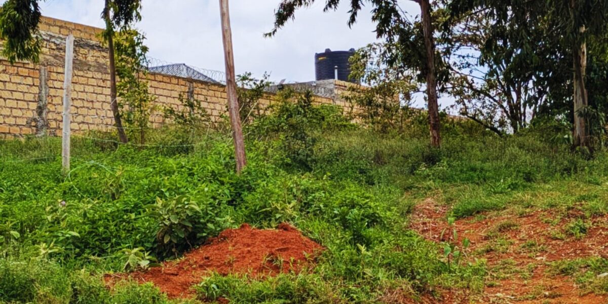 akim gardens phase22