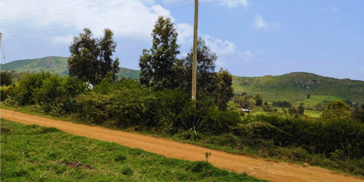 akim gardens phase26