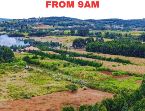 Why Site Visits Are Essential Before Purchasing Land