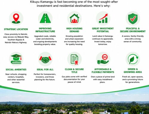 The Future of Kamangu: Why Investors Are Buying Land Here